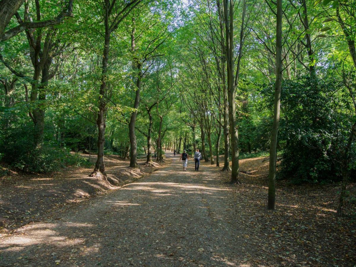 شقة Bright West Hampstead Retreat لندن المظهر الخارجي الصورة